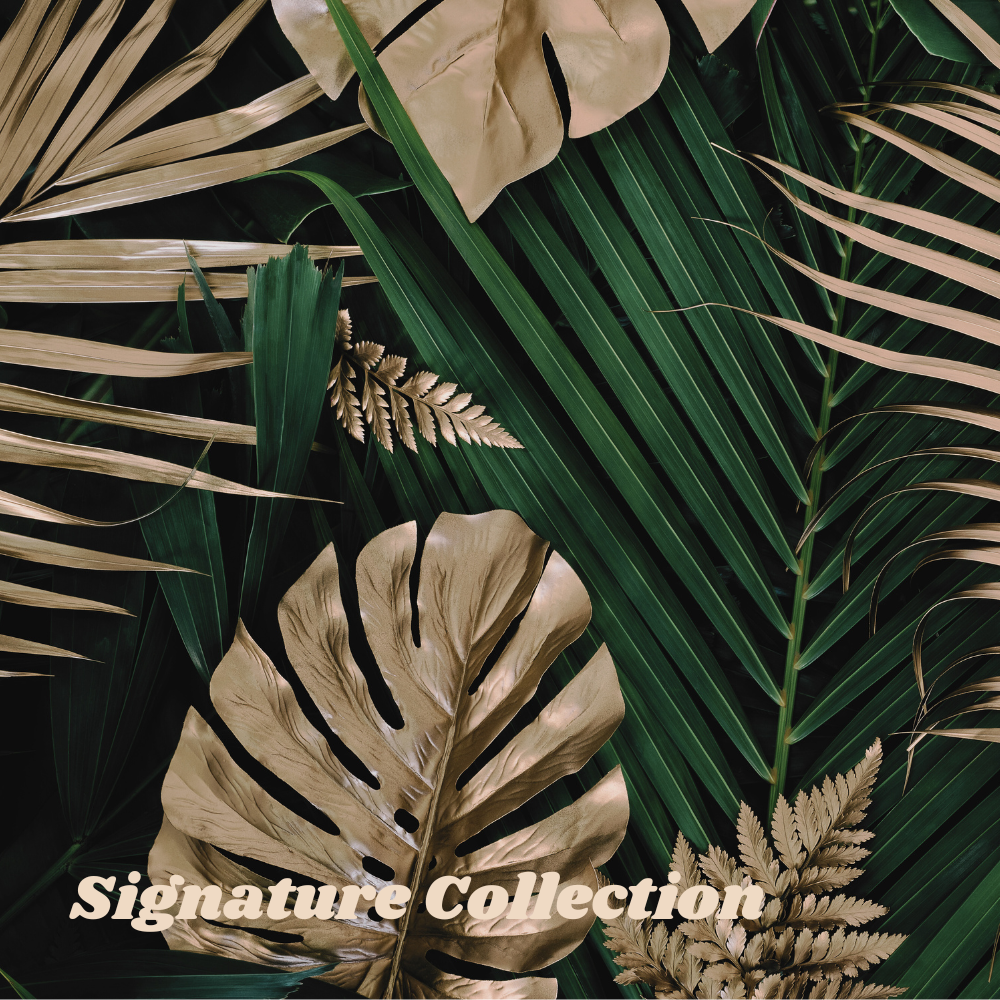 Signature Collection Signature